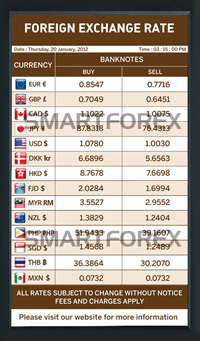 SMARTFOREX Portrait - 2 Columns - Brown