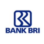 BRI Bank Logo