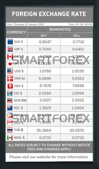 SMARTFOREX Portrait - 2 Columns - Grey