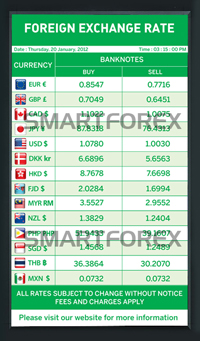 SMARTFOREX Portrait - 2 Columns - Green