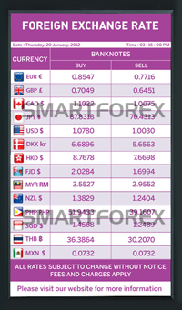 SMARTFOREX Portrait - 2 Columns - Purple
