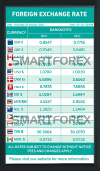 SMARTFOREX Portrait - 2 Columns - Tosca
