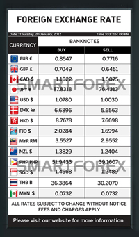 SMARTFOREX Portrait - 2 Columns - White