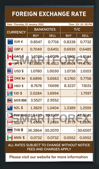 SMARTFOREX Portrait - 4 Columns - Brown